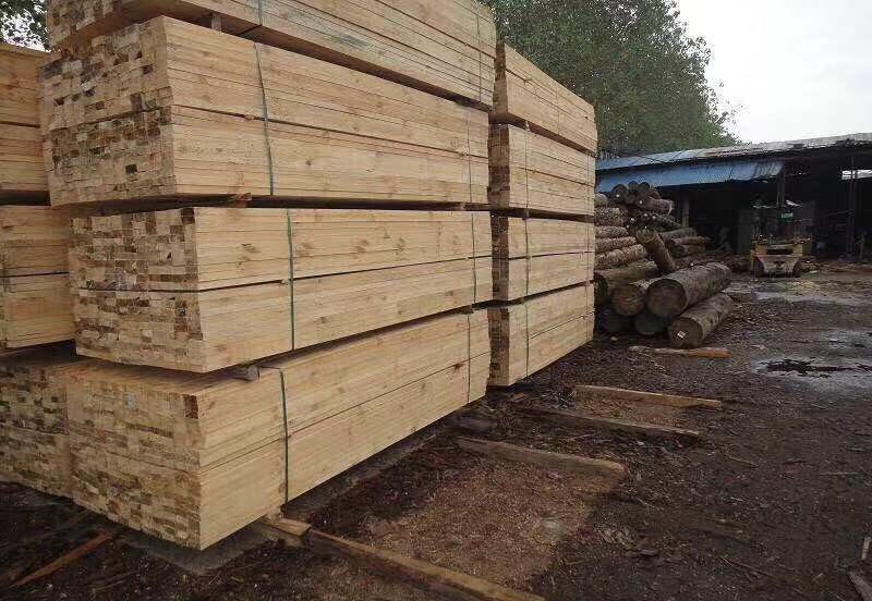 东北批发厂家直销木材加工厂落叶松原木木方