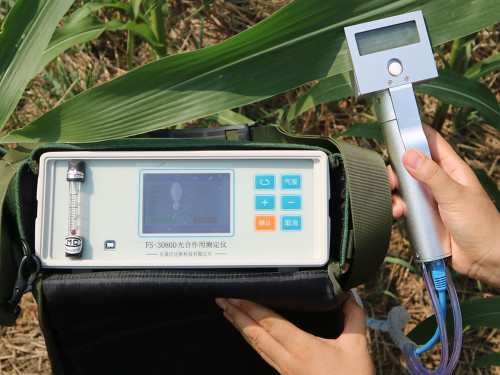 玉米光合作用测量仪