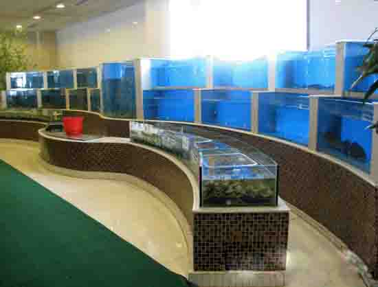 广州海鲜鱼池价格,广州订海鲜鱼池,广州海鲜鱼池市场