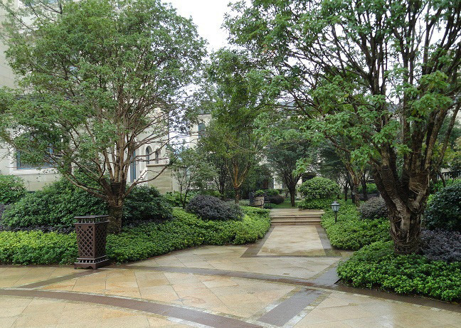 上海绿化工程 上海别墅绿化 上海庭院绿化