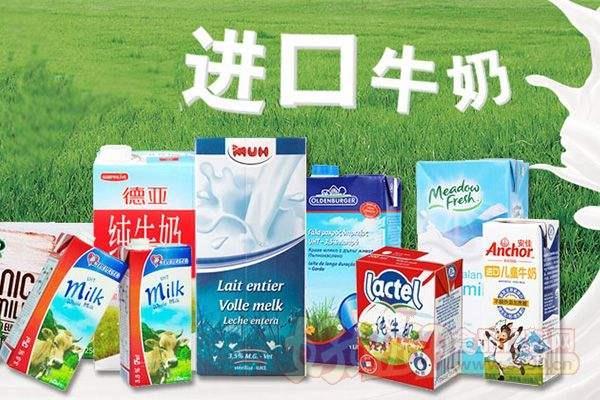 深圳实力的进口牛奶报关行