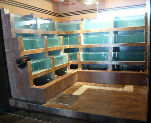 广州海鲜池公司，广州可以订做海鲜池，广州海鲜鱼池价格