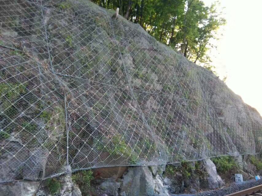 生态边坡防护网