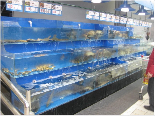 广州定做酒店海鲜鱼池, 广州订做海鲜鱼池，广州定做海鲜鱼池厂