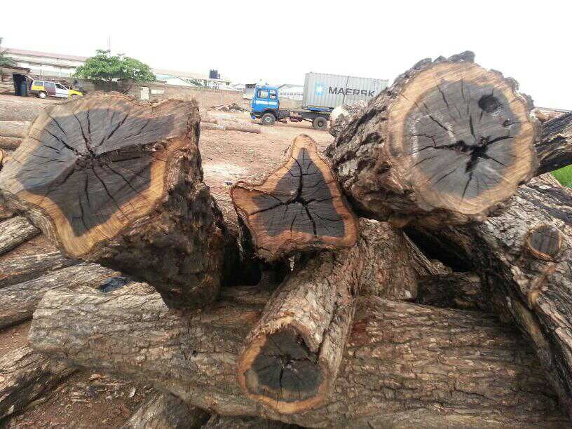 非洲名贵木材一般贸易进口清关代理