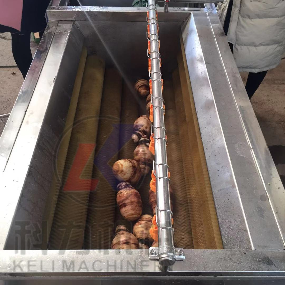 土豆萝卜去皮机器价格清洗机厂家