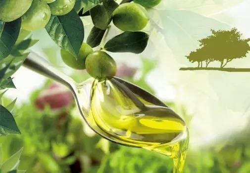 深圳专业橄榄油进口报关清关公司
