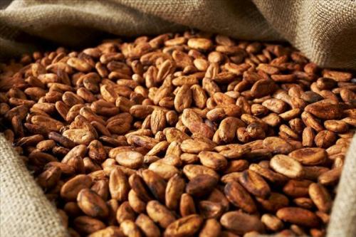 巴西咖啡豆进口青岛清关操作流程