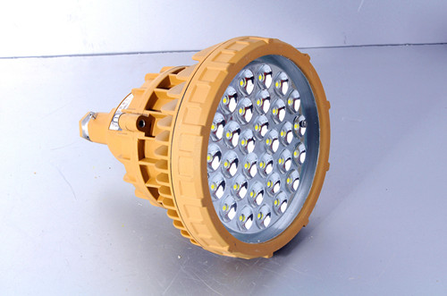 CCD55防爆免维护LED照明灯