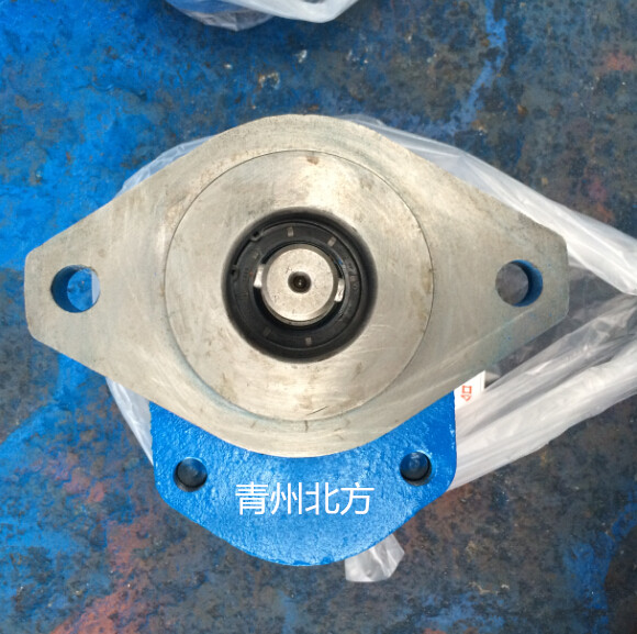 青州北方齿轮泵液压泵CBG1020单泵工程机械**