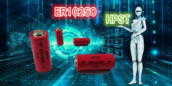 ER10250异形3.6V亚电池450mAh
