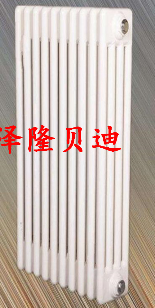 泽隆贝迪钢制柱式散热器