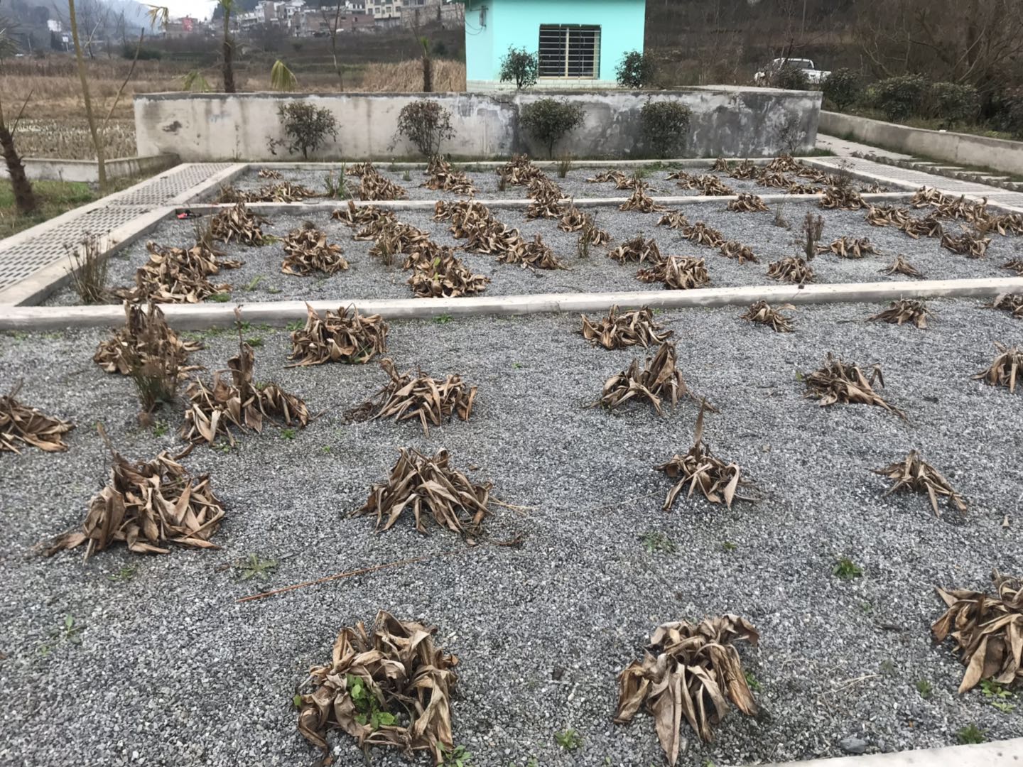 貴州地埋一體式污水處理設(shè)備