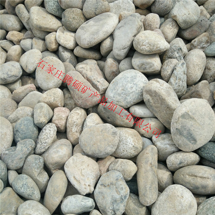 厂家供应鹅卵石 铺路园林景观鹅卵石 河卵石 鹅卵石滤料
