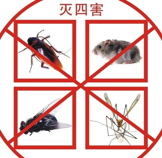 承接网吧会所灭鼠灭蟑螂防疫消毒、广州华玉专业杀虫除四害公司