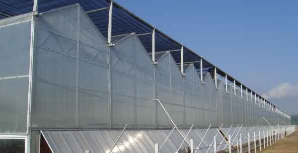 阳光板温室施工价格