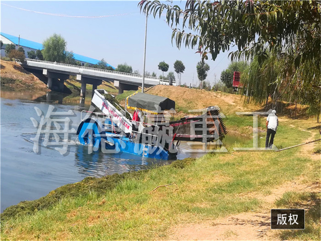 重庆成都 海藻清理船 疏浚清淤船 割草船的展会 割草船定制