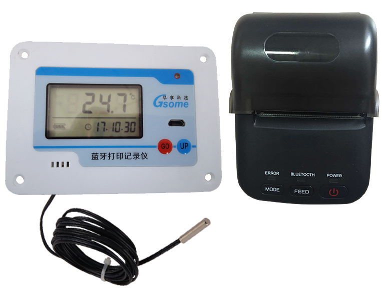 自动温度记录仪DP-W11食品医疗冷链运输充电报警打印温度记录仪