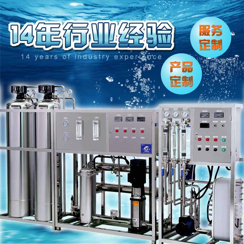 高纯水设备 工业纯水设备 EDI纯水生产设备