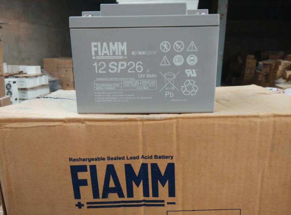 东莞FIAMM蓄电池厂家