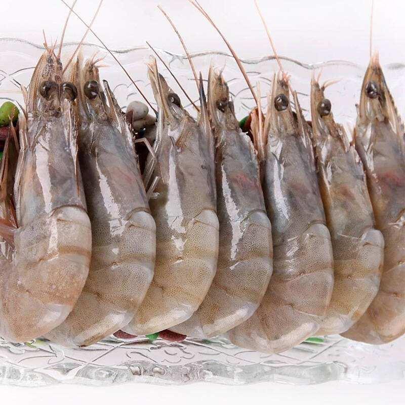 西班牙冷冻虾进口报关行-中文标签要求
