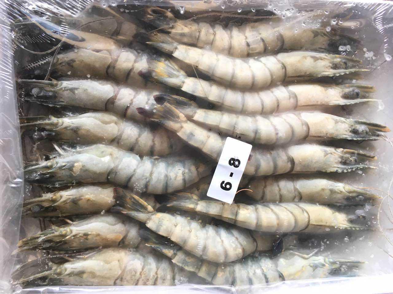 西班牙实力的冷冻虾进口报关服务公司-中文标签要求
