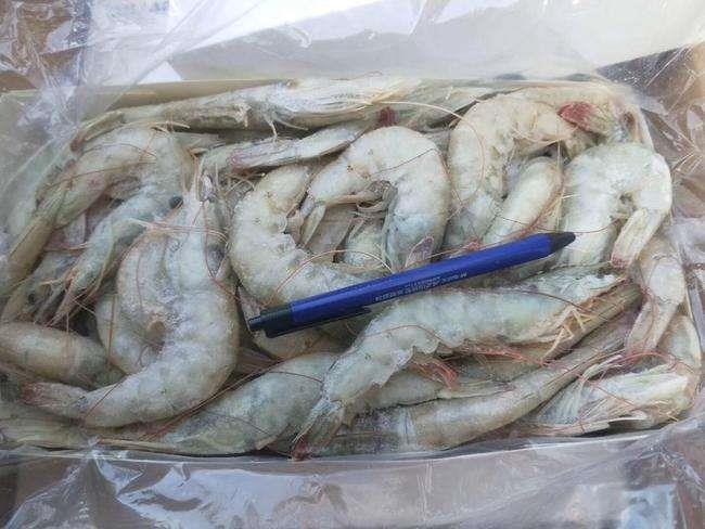 印度尼西亚实力的冷冻虾进口报关行-中文标签要求
