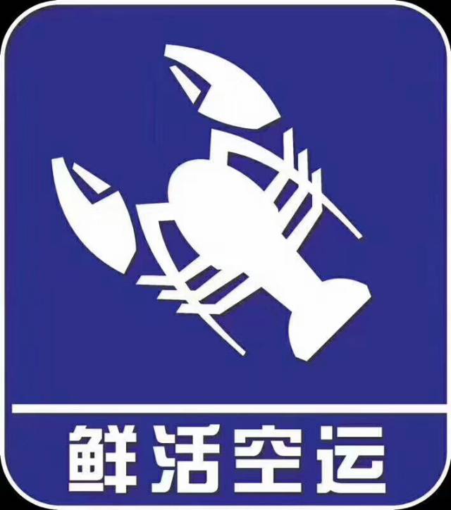 杭州机场杨梅空运