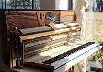 艺海以全新的管理模式，周到的钢琴保养服务于广大客户