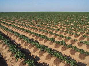 数字农业技术*水肥一体化系统，高端正品，品牌热销