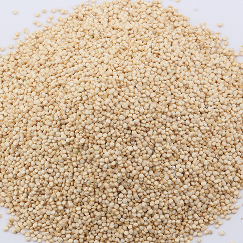 进口红藜麦 南美藜麦批发供应 玻利维亚藜麦一手货源