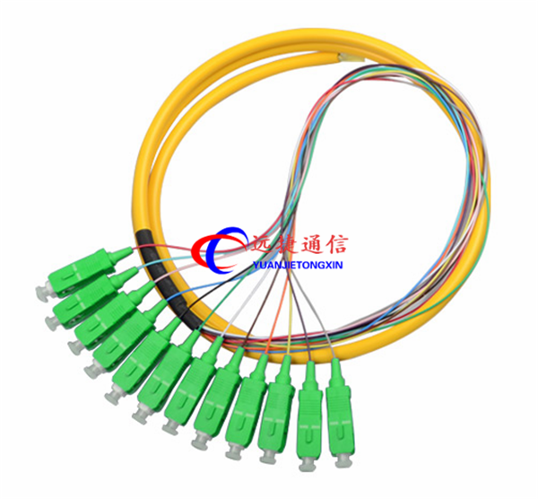 电信级 SC/APC 12芯束状尾纤 光纤跳线 单模尾纤APC