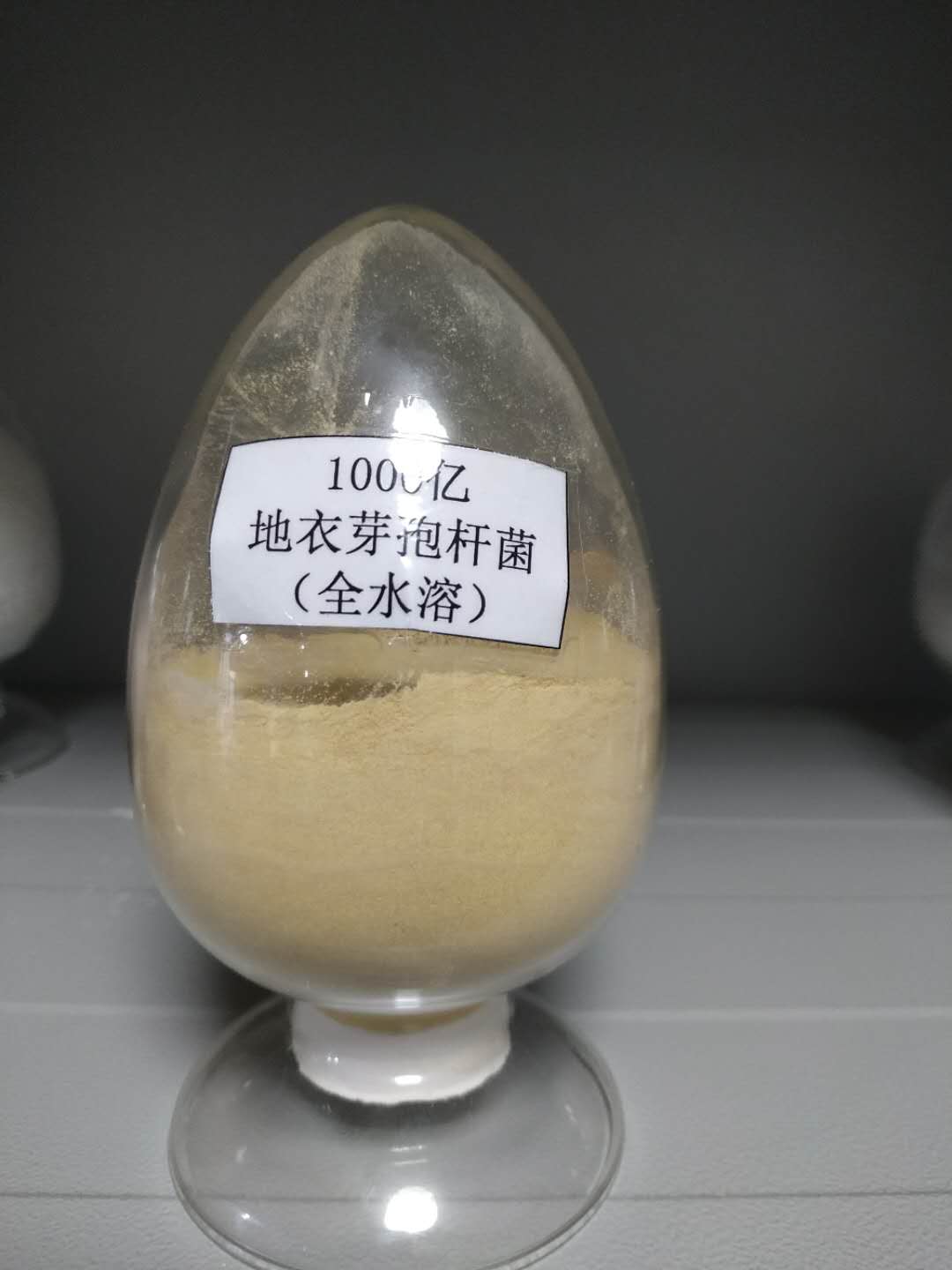 水溶性复合芽孢杆菌 生物土壤改良剂 可冲施 可滴灌