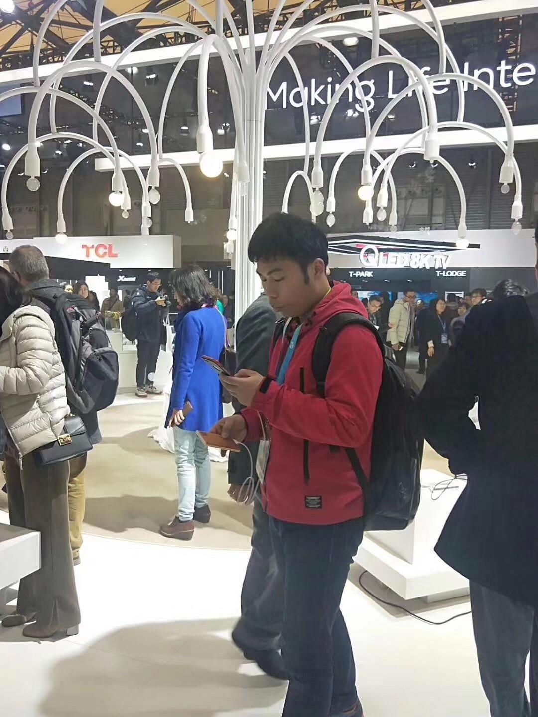 毕节烟泡树促销