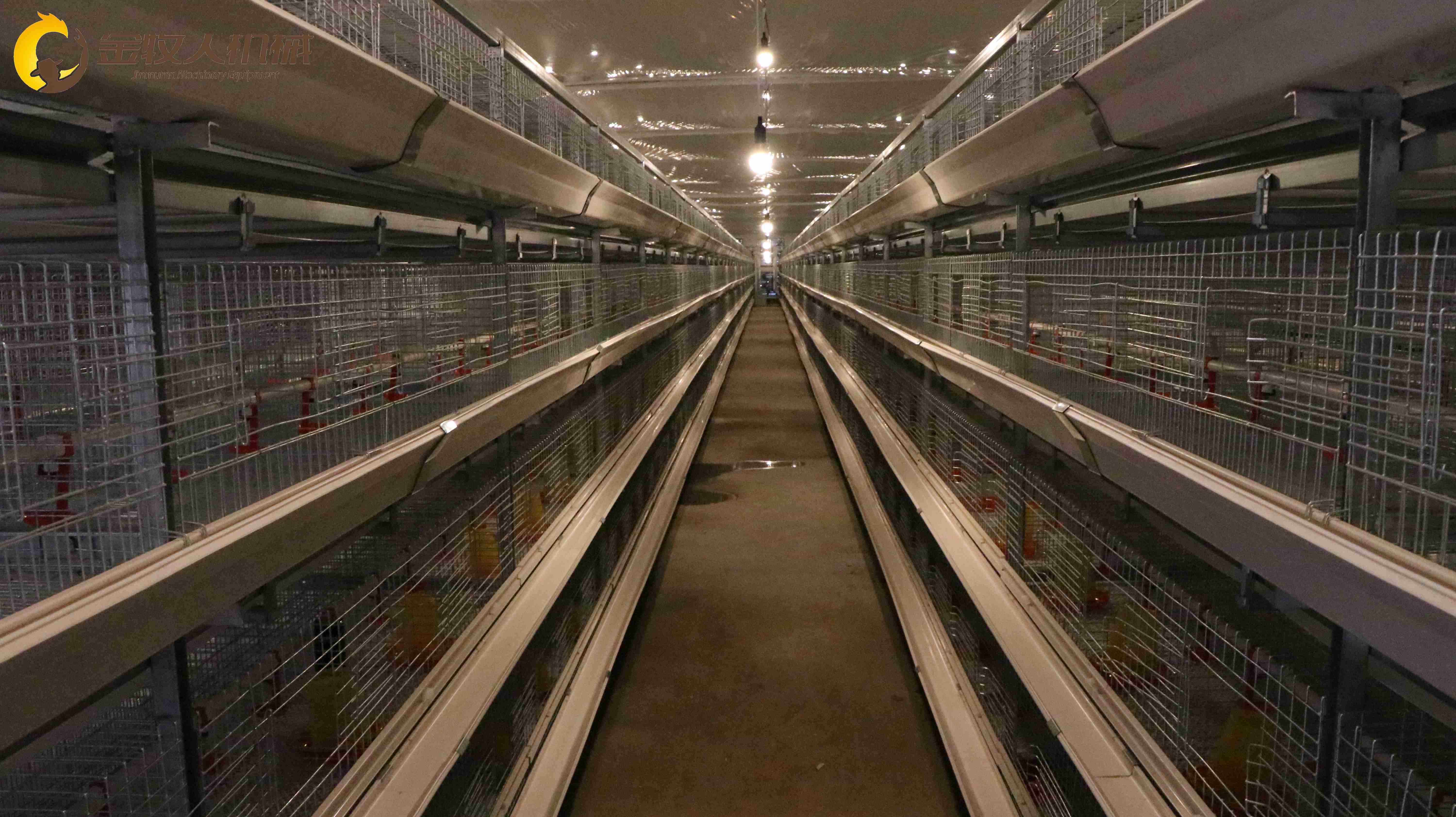 大型层叠鸡笼丨蛋鸡笼丨育雏笼丨直销各种养鸡笼网设备