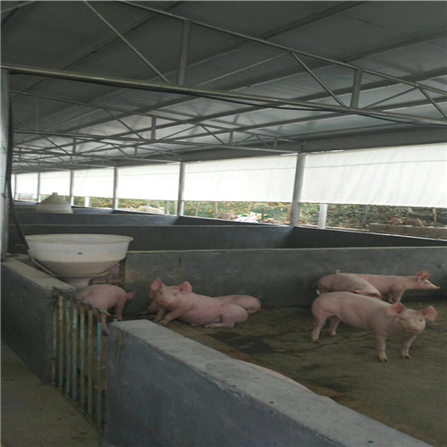 养殖场卷帘布供应 养殖设备卷帘机图片 猪场**卷帘篷布