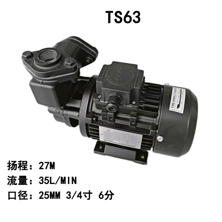 TS-63木川耐高温泵