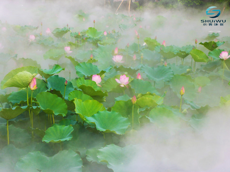 重庆水雾园林人造景观系统