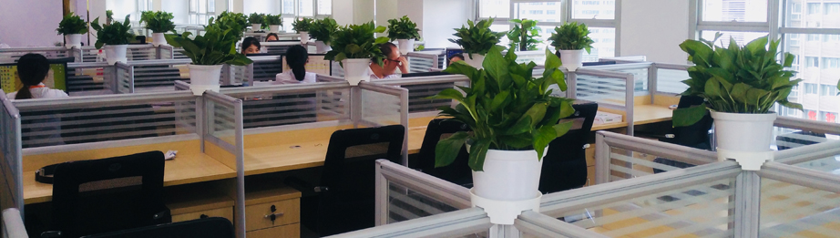 办公室植物租摆养护写字楼商场绿植租摆室内植物批发零售