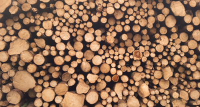 原木/木材料进口报关归类及税率，原木/木材一般贸易用客户资质申报条件，原木/木材进口报关清关费用