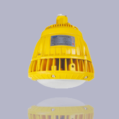 BLD2530W 防爆免维护LED节能灯 护栏式安装 电压220v