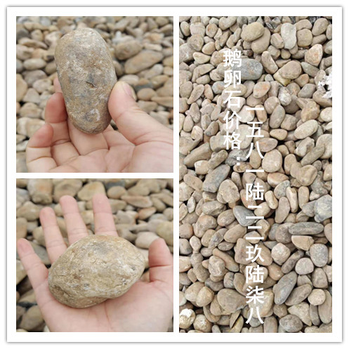 鹅卵石 鹅卵石图片 大小鹅卵石 铺路鹅卵石 景观鹅卵石