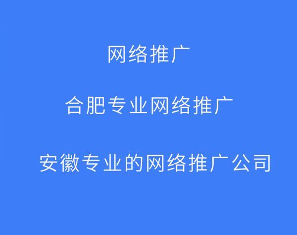 合肥專業(yè)網(wǎng)站優(yōu)化咨詢熱線