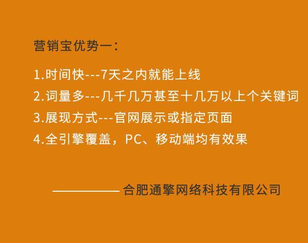 安徽网站搜索优化价格