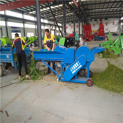 养殖场牧草揉丝机质量如何 大型揉丝机厂家终身维护