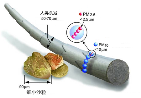 上海学校总挥发性**物治理 诚信经营 凯菲**应