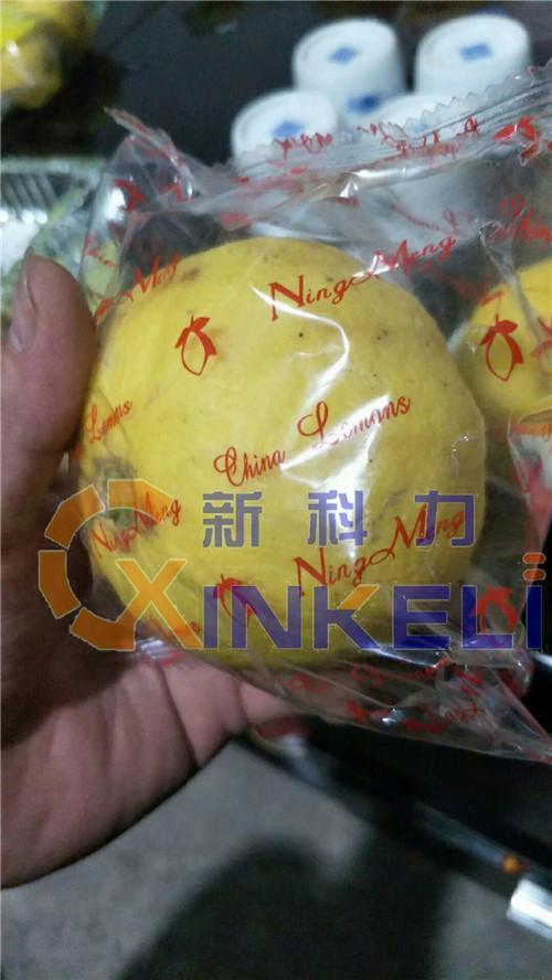 天津柠檬包装机