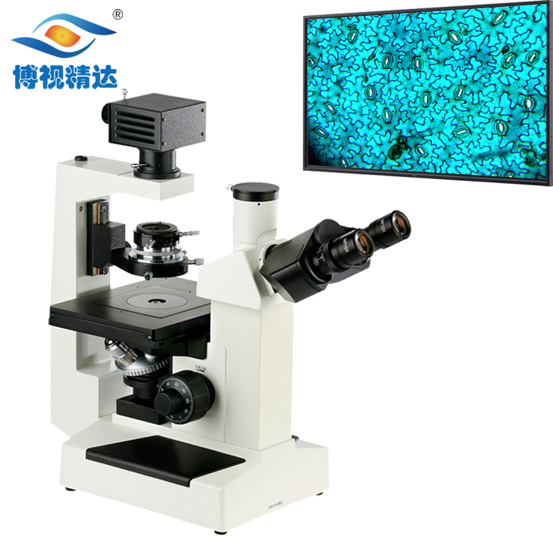 厂家直供BD-S1倒置生物显微镜大载物台可拍照带测量终生维护