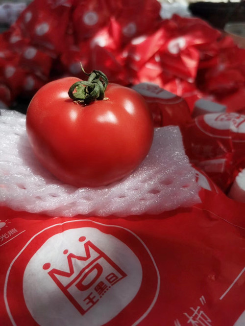 西红柿能放冰箱里保存吗