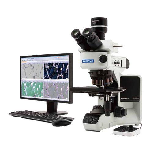 奥林巴斯 金相显微镜BX53M全新供应 湖南地区